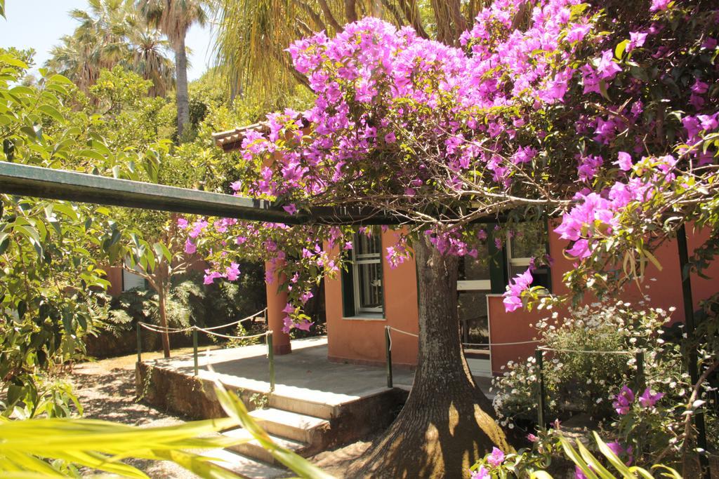 Le Palme Garden San Giorgio (Messina) Exterior foto