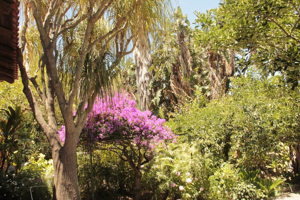 Le Palme Garden San Giorgio (Messina) Exterior foto